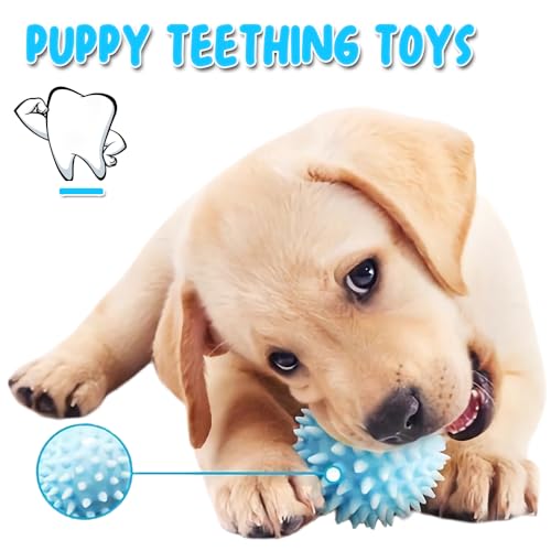 Speedy Panther 7Pcs Dog Toys for Small Dogs, Puppy Chew Toys from 8 Weeks, Natural Cotton Dog Rope Toys, Squeaky Plush Dog Toy, Puppy Teething Toys, Dog Toys Set for Small Mediuem Dogs - Image 5