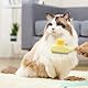 Flohkamm für Katzen,Selbstreinigender Haustier Flohkamm Fellpflegebürste, Cat Hair Brush with Release Button,Fellpflegebürste für Haustiere,Fellpflegebürste für Katzen und Hunde(2 Stück) ﻿
