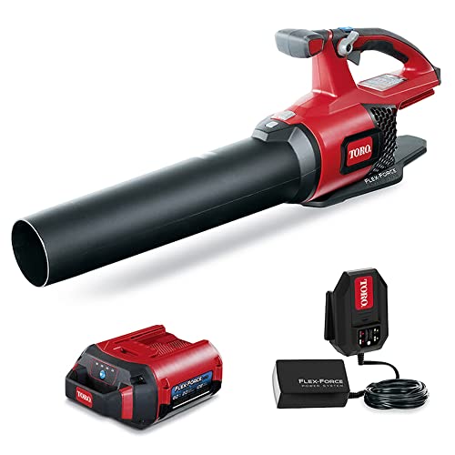 Find The Best Toro Electric Leaf Blower Reviews & Comparison Katynel