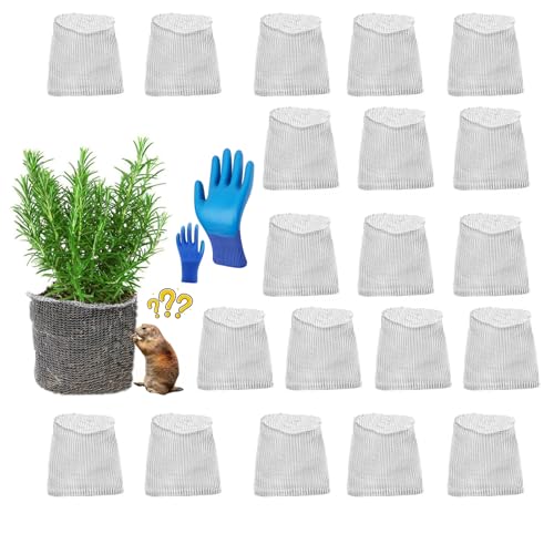 HAORESULT 20 Packs Gopher Baskets 1 Gallon Size Stainless Steel Metal mesh to Protect Plant Root from Gophers Moles and Voles