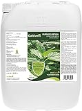 CULTIVERS Purín de Ortiga Ecológico de 20 L. Súper concentrado. Acción Insecticida, Fungicida, Acaricida. Corrige la clorosis férrica. Control de Plagas y Hongos Sustancia Básica Natural