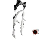 RST Federgabel Capa T Federweg 80 mm Weiss Fahrrad