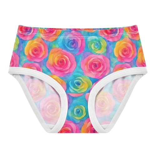 Joisal Vibrant Roses Pink Teal Girl Panties Cute Toddler Underwear Floral Cotton Designer Briefs Kids Undies 2t
