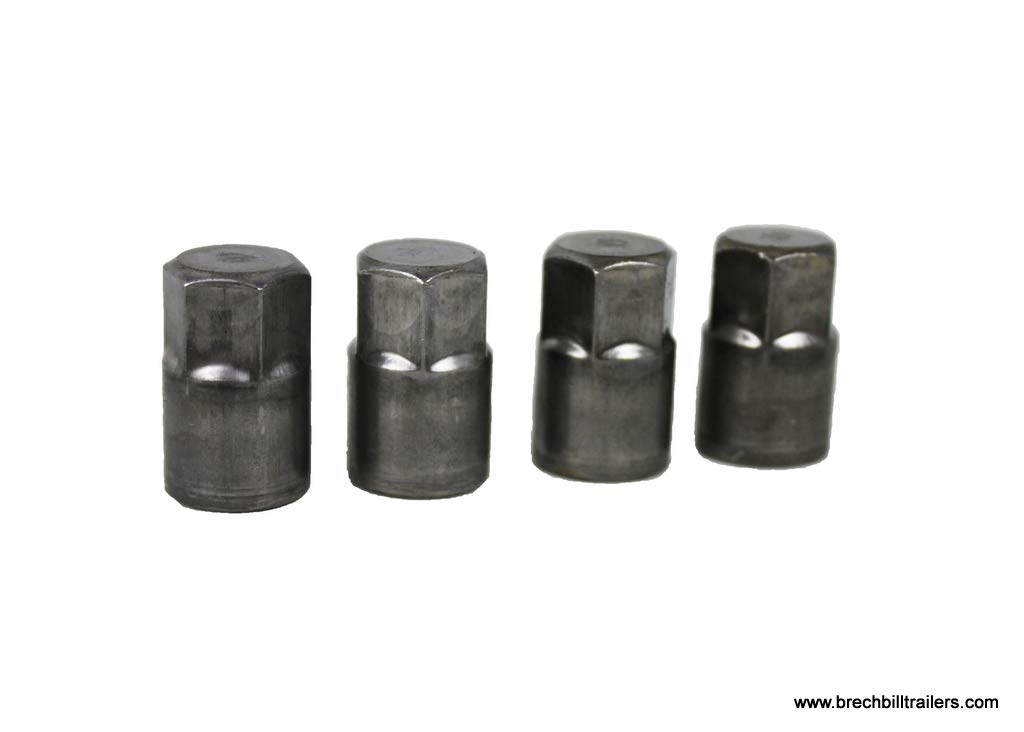 Amazon.com: Dexter Axle K2346200 Brake 10 X 2-1/4 Left For D44