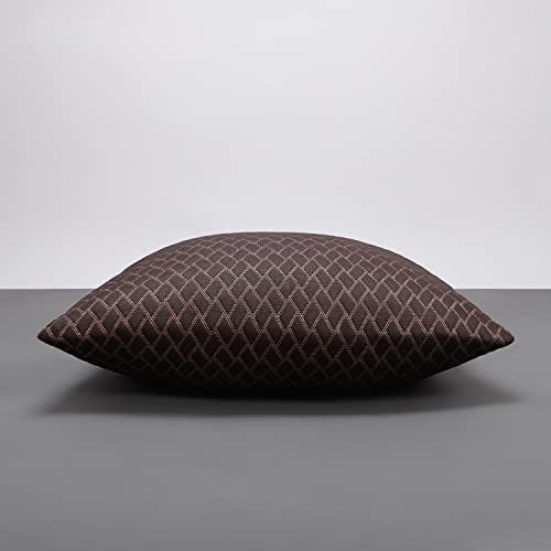Image of LA VERNE Luxury Premium Cloth Microfibre Blown Technology Filled Sofa Cushion Filler Pack of 5 (16 inchX16 inch) (Brown)