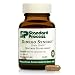 Standard Process - Ginkgo Synergy - 40 Capsules