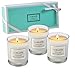 Produktbild LA BELLEFÉE Duftkerze Sojawachs Kerze Aromatherapie Fruchtiger Duft Nach Pear & Freesia, Blood Orange, Bluebell 3 Stück im Glas Geschenkbox