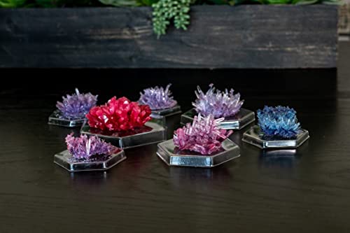 4M Crystal Growing Science Experimental Kit - 7 Crystal Science Experiments With Display Cases - Easy Diy Stem Toy Lab Experiment Specimens, Educational Gift For Kids, Teens, Boys & Girls #TOP1