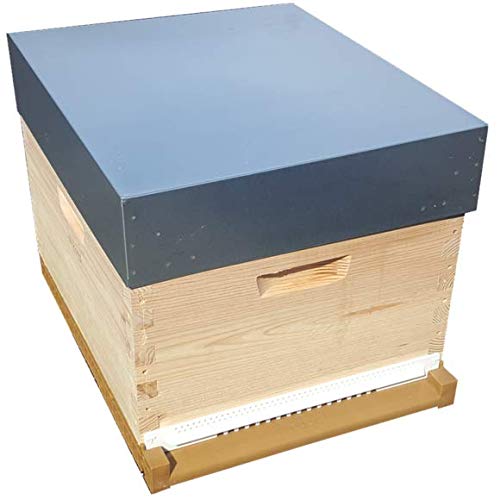 cote ruche Dadant Pribois Hive with Open Studs and Spun Frames