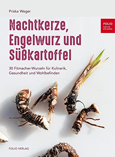 Nachtkerze, Engelwurz und Süßkartoffel: 30 Fitmacher-Wurzeln für Kulinarik, Gesundheit und Wohlbefinden