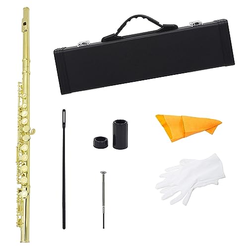 t[gy 16  C L[t[gyP[XO[ut[gANZT[؊Ǌyp[c t[gy (Color : Gold)