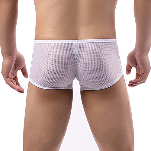 Men's Sexy Elephant Trunk Boxer Underwear Fashion Low Waist Mesh Breathable Shorts Comfortable Hip-covering Boxer2