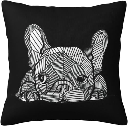 Zateem �N�b�V�����J�o�[ 50×50cm ���� �t�����`�u���h�b�O �V���v�� �_�炩�� �\�t�@�w���� �������J�o�[ �������J�o�[ �s���P�[�X ���z�c�J�o�[ �J�W���A�� �ԗp ��G��ǂ� �􂦂� �C���e���A���� ��������