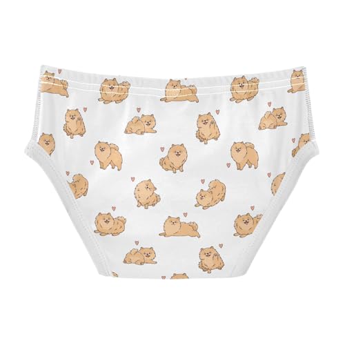 Cotton Little Boys Briefs Soft Brown Pomeranian Dog Toddler Underwear2