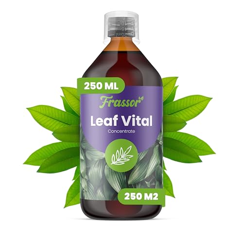 Concentrado Foliar Vitalidad De Hojas Frassor 250 ml para un crecimiento fuerte