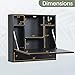 Tangkula Wall Mounted Desk, Folding Floating Wall Mount Laptop Desk, Space Saving Wall Mounted Table with Storage Drawer & Shelves (Black)