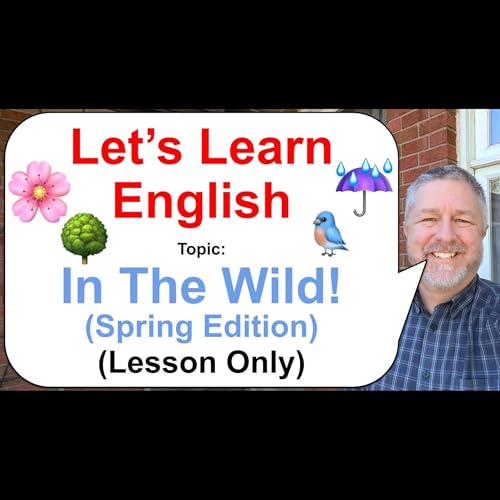 Let's Learn English! Topic: Found in the Wild! ☔🌸🐦