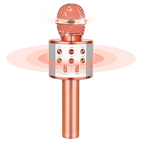 Micrófono de karaoke, juguete de color champán Cover