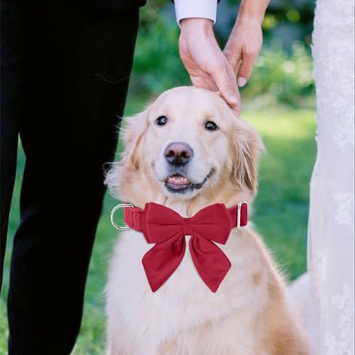 Tie KTWSUEF Hundehalsband Fliege Samtige, Fliege für Hunde, Komfortable Haltbarkeit Halsband Hund, Abnehmbares und verstellbares Fliege Hunde Für Hochzeiten, Geburtstage, Festliche