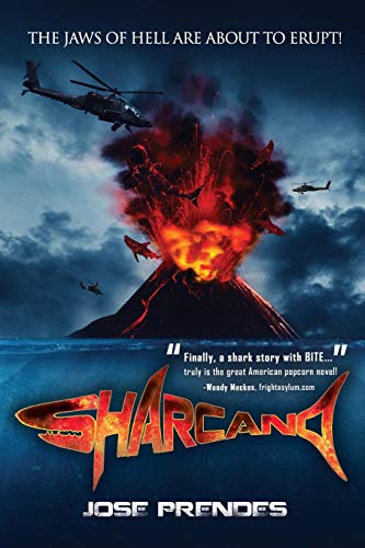 Sharcano view 2