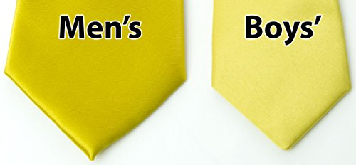 Spring Notion Boys' Satin Zipper Necktie Gold Medium4