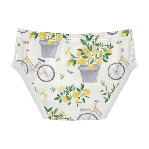 Wusikd Gray Bicycles Boys' Underwear Cotton Lemon Trees Boys Briefs Soft Toddler Underwear 2T2