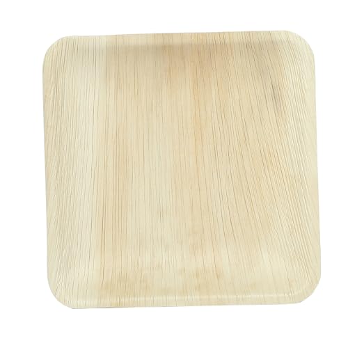 Image of Clazkit 50 Pack Areca Square Palm Leaf Plates| Like Wooden Bamboo | Eco Friendly, Biodegradable, Use and Throw Small Dona | for Serving Pasta, Soup & Snacks | Birthday, Wedding & Party (6 inch X 6 inch)