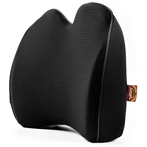 10 Best Back Support For Couch