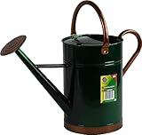 2 Gallons Galvanised Steel Watering Can Gloss Finished 9L (Green)