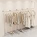 Garment Hanging Bar Clothing Rack, Modern Retail Garment Rack Heavy Duty Stainless Steel Clothes Organizer, Creative Display Rack Clothes Hanger for Boutiques, Home Cloakroom Storage Rack (250CM