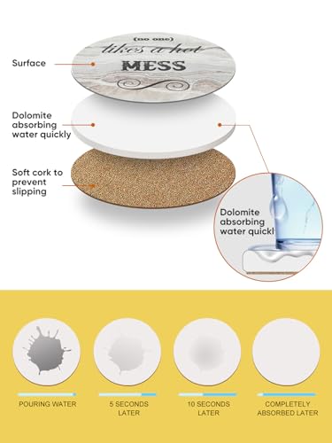 image for LIFVER White Elephant Gifts for Adults, Funny Coasters Set of 8, Funny