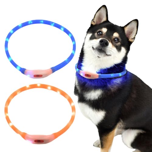 光る首輪 犬用品 夜間発光 USB充電式 LEDライト 散歩 安全 ドッググッズ 夜用 軽量 【アイティーフーズカンパニー】 (光る首輪(ブルー))