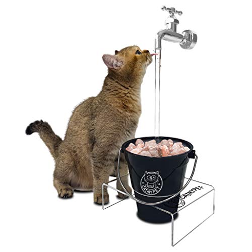CatMyPet Magicat Bebedouro para Gatos com Suporte, Preto (Black), 220 V