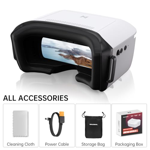 CADDXFPV Walksnail Avatar Goggles L
