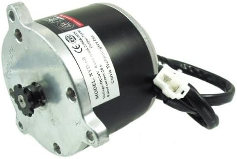 Currie 24 Volt 750 Watt Electric Brush Motor, High Performance, Reversible, with 11 Tooth Sprocket #25 Chain