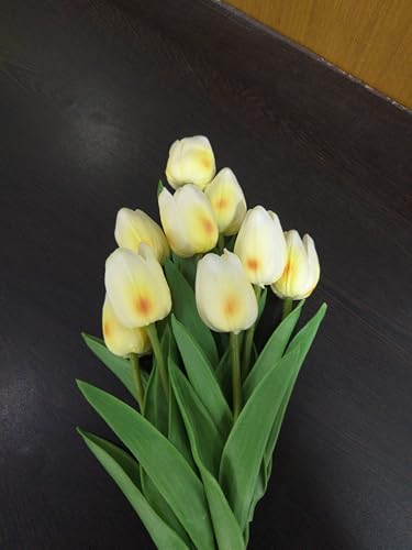 Image of Pink Olive Tulip Flowers Bunches | for Home Decor | Living Room, Corner Table, Bedroom, Wedding Party Decor, Gifting | Real Like Feel, Artificial Flower | Bunch of 05 (Offwhite Tulip)