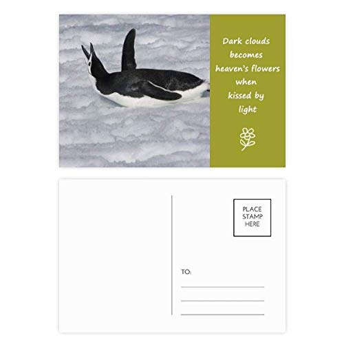 Carte postale Penguin Antarctique, lot de 20 images de poésie multicolores pour message merci