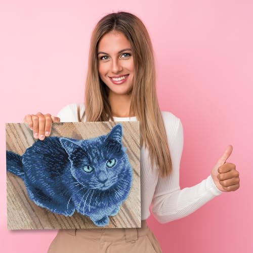 Image of DIAMOND DOTZ Velvet Diamond Painting Kits for Adults - Diamond Art Kits a Relaxing Creative Craft Kit with Dotz Gems 11.7x14.8