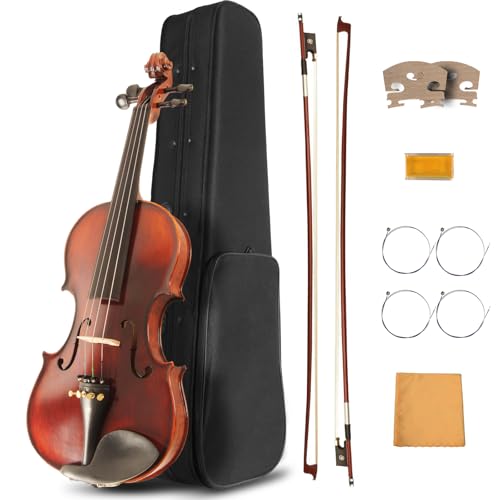 Ceciliec 4/4 Violin for Beginners, Acoustic Full Size Violin Starter Kit for Student, Stringed Musical Instrument w/Case, 2 Violin Bows, 2 Bridges, Strings, Rosin, Cleaning Cloth