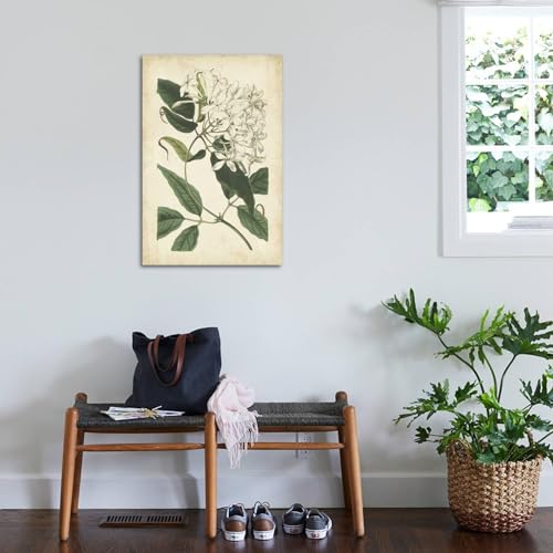 ART.COM Wall Art Print Botanical Display II by Vision Studio, 24" x 36" by ART.COM - Used condition - US$36.18