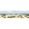Chesapeake dlr53611b falmouth beige dunes wallpaper border  urban country home decor