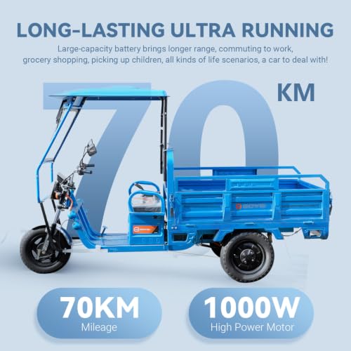 1000W Electric Cargo Tricycle Truck