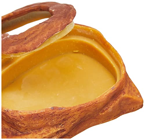 Exo Terra Worm Dish, Wurmfütterungsschale, mit Randring, speziell für die Fütterung von Würmern, 1 Stück (1er Pack)