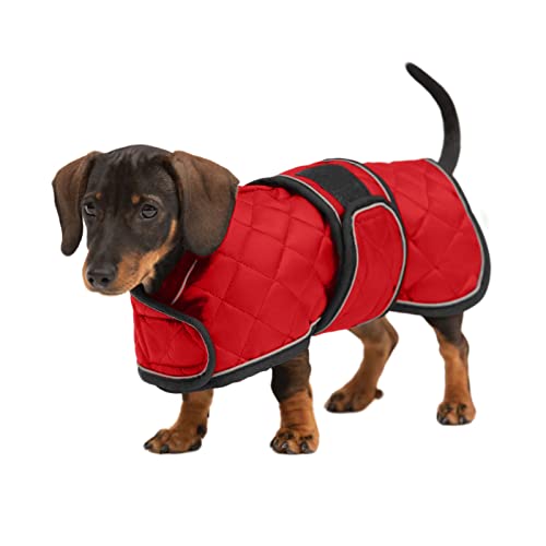 10 Best Coats For Dachshunds Review And Buying Guide blinkx.tv