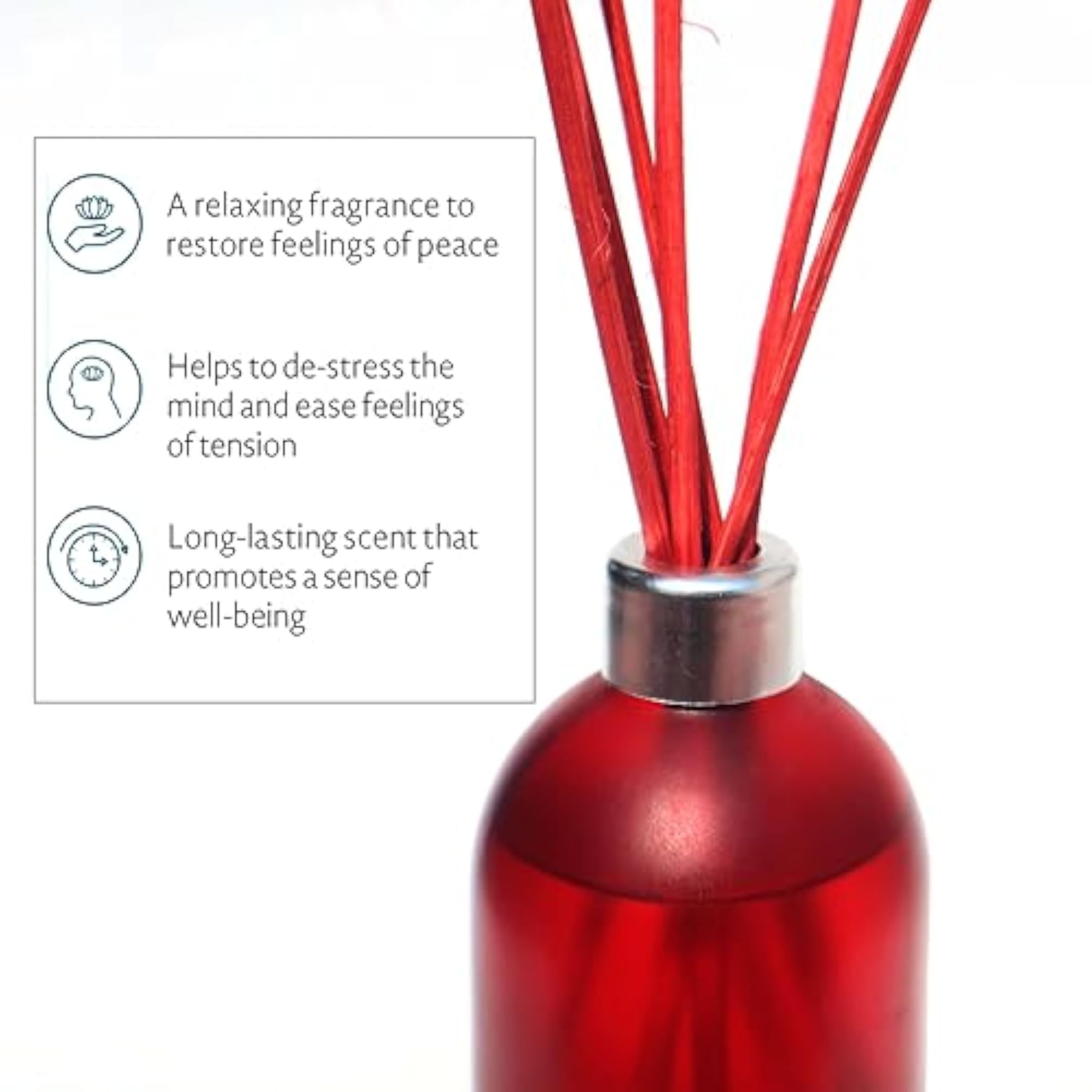 Empty Frosted Glass Reed Diffuser Bottle with 5 Pcs Red Reed Sticks