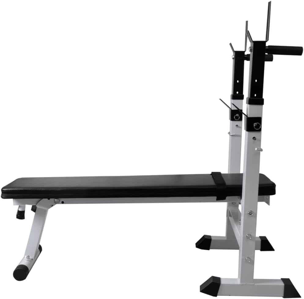 Workout Bench with Weight Rack, Barbell and Dumbbell Set 120 kg(Weight:304.24 lbs),275375