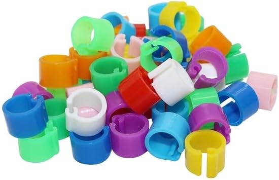 10Colors Birds Feet Rings Inner Diameter 6mm Width 7mm Plastic Clip Ring Pigeon Dove Quail Foot Ring Farm Animal Carrier 100Pcs 10 Colors x 10 Pcs
