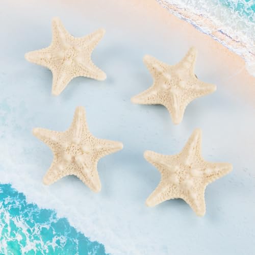 Pinzas Estrella de Mar de Resina y Metal, Pack de 4 miniatura 6