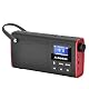 Akku-Radio Avantree 3-in-1 tragbares FM Radio mit Bluetooth und MP3 Player