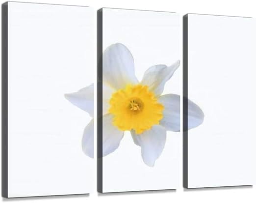 Amazon Co Jp 水仙 すいせん スイセン ラッパスイセン 白 白色 黄 黄色 薄黄色 ヒガンバナ科 背景切抜 背景透視 Psd 植物 花モダン アートボード 壁アート 壁掛け モダンアート 壁飾り木枠セット 壁芸術 新築祝い ホーム キッチン